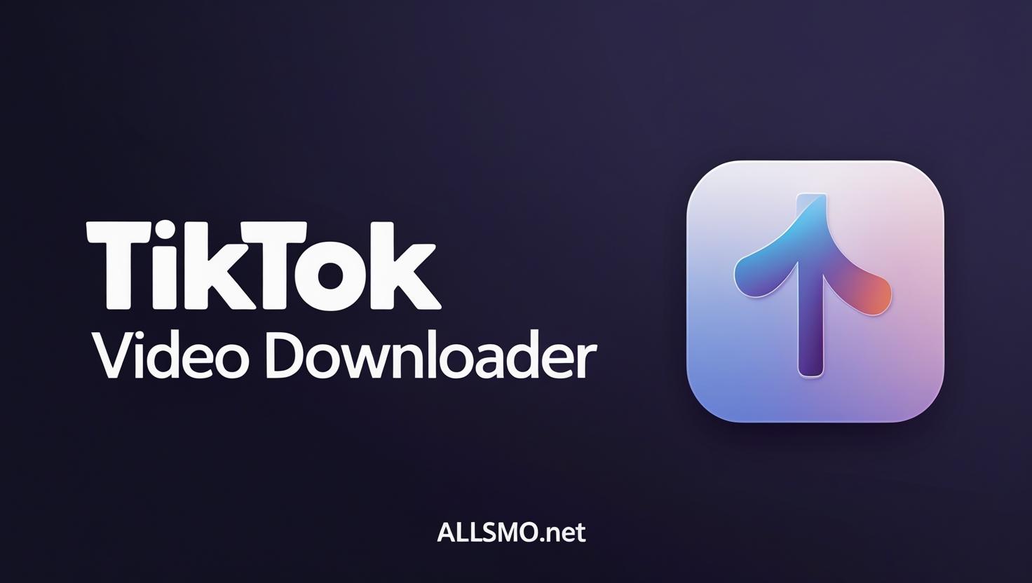 tiktok video downloader
